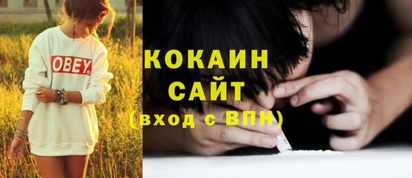 тгк Михайлов