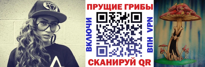 Галлюциногенные грибы Cubensis  дарнет шоп  Волгоград 