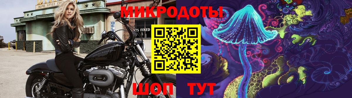 Галлюциногенные грибы Magic Shrooms  Вход с VPN  Волгоград 