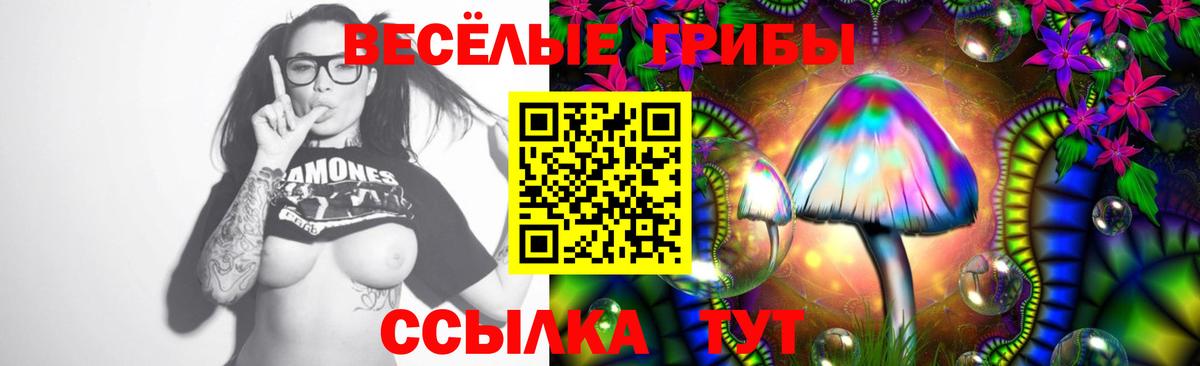 купить   Волгоград  Галлюциногенные грибы прущие грибы 
